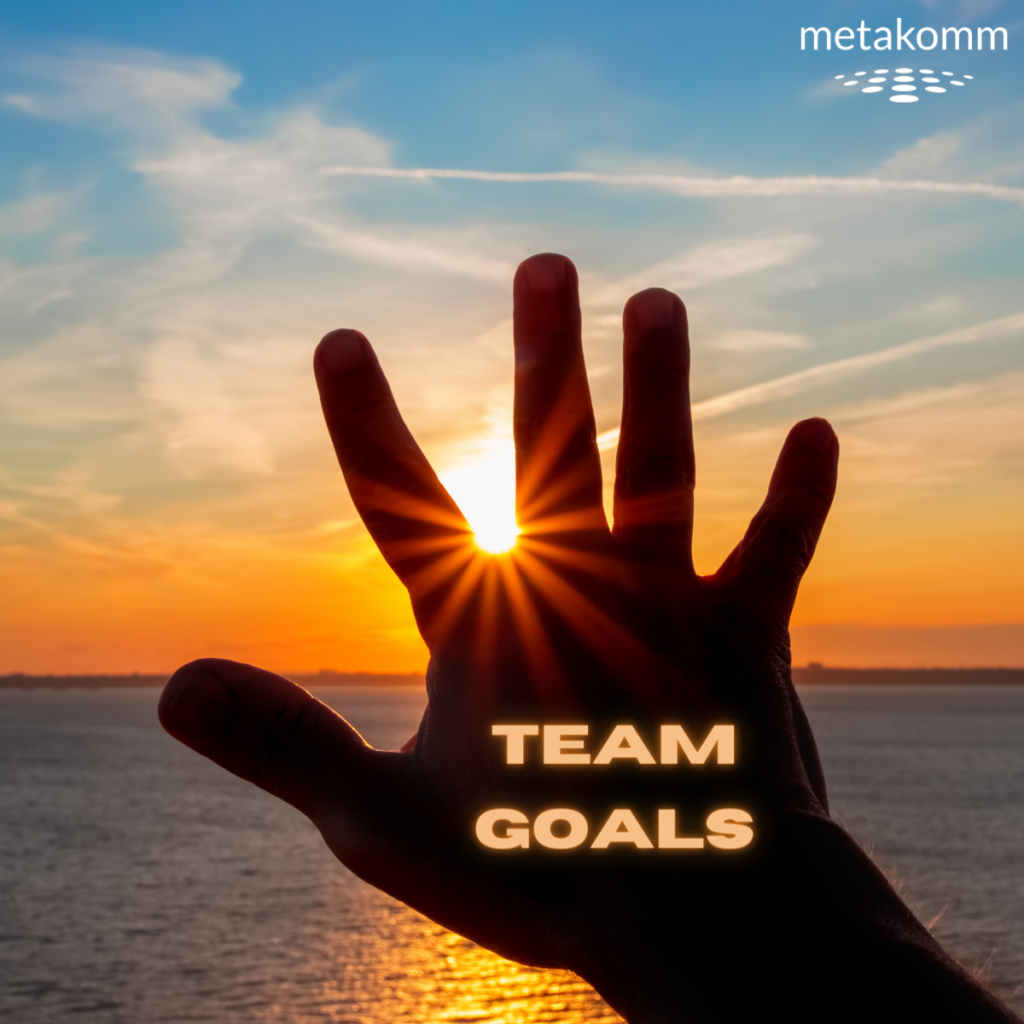 Metakomm Blog Articel Team Goals