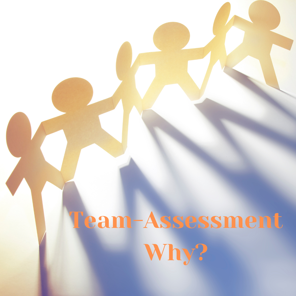 Team development with personality assessments, an article by Metakomm