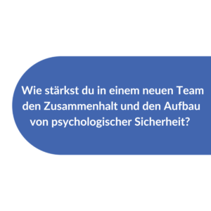 Frage zum Training Teambuilding in der Metakomm Academy